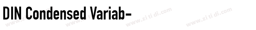 DIN Condensed Variab字体转换